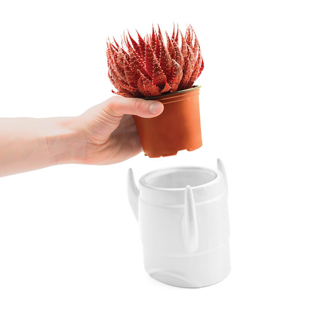 Rocket Planter